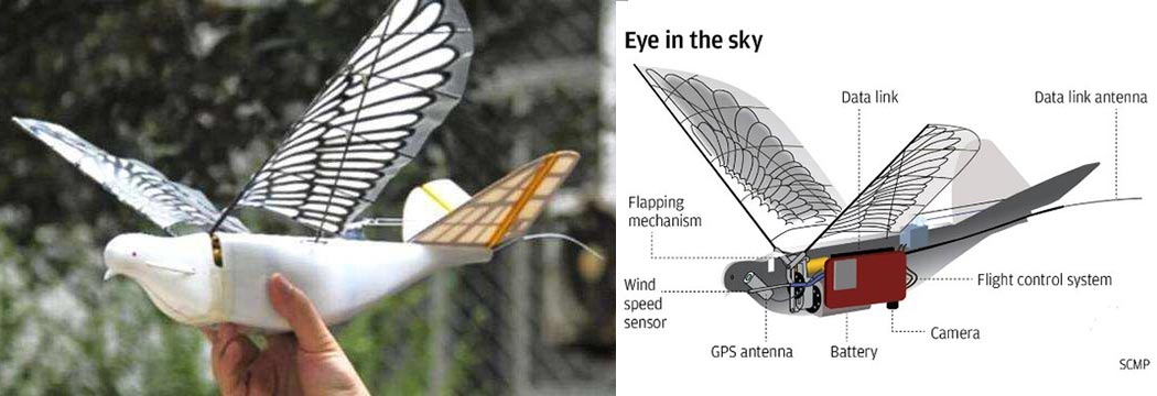 我国研制出仿生无人机:可模拟90%鸽子动作 雷达隐身效果出色